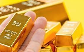 Hôm nay (8/7), giá vàng đã chinh phục mốc 50,33 triệu đồng/lượng. Gia Vang Ngay Hom Nay 19 7 Cuá»'i Tuáº§n Vang Sjc Vang 9999 Hom Nay Tiáº¿p