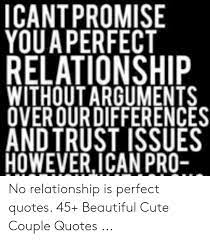 Icantpromise Youa Perfect Relationship Without Arguments Cute Couple Quotes Relationship Trust Quotes Perfect Relationship