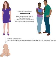 We did not find results for: Congenital Infection An Overview Sciencedirect Topics