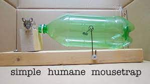 Make A No Kill Mouse Trap With A Soda Bottle Homemade Mouse Traps Mouse Traps Mouse Trap Diy
