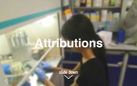 Team:SMS Shenzhen/Attributions