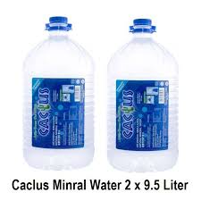 Our bodies signal to us when we're thirsty, much like they do when. Cactus Natural Mineral Water 2 X 9 5 Liter Shopee Malaysia