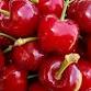 Linden Cherry Festival