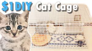 A catio, an outdoor cat enclosure or cat patio, is the purrfect solution to solve the indoor/outdoor dilemma and keep your cat safe, healthy and happy. 1 Diy Cat Cage Day1 2 Youtube