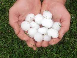Acesse o portal do jornal o popular. Chuva E Granizo Provoca Estragos Em Vinhas No Distrito De Vila Real