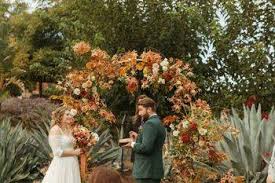 Michelle Collis Photography