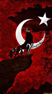 Inspirational designs, illustrations, and graphic elements from the world's best designers. Obtain Turkey Flag Wolf Wallpaper By Susbulut B3 Free On Zedge Now Bro Anime Blog