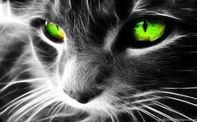 Desktop Wallpaper Hd Full Screen 6mqm26b 0 17 Mb Picserio Com