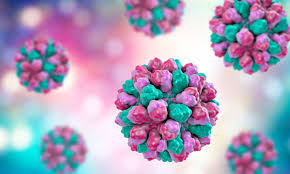 Norovirus was originally called the norwalk virus, after the town of norwalk, oh, where the first confirmed outbreak happened in 1972. Shedding Light On Norovirus Outbreaks European Pharmaceutical Review
