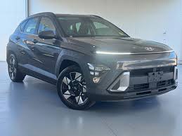 Image result for Ecotronic Gray 2025 Staria