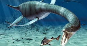 See more ideas about sea creatures, creatures, ocean creatures. The Real Sea Monsters Science News For Students