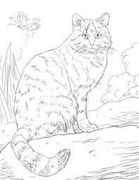 1st grade printable coloring pages. Free Coloring Page K 1st 2nd Grade By The Harstad Collection