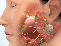 بعد اكتشاف أن والدته تعمل في وكالة المخابرات المركزية. Ø¨Ø¹Ø¯ 3 Ù‚Ø±ÙˆÙ† Ø§ÙƒØªØ´Ø§Ù Ø¹Ø¶Ùˆ Ø¬Ø¯ÙŠØ¯ ÙÙŠ Ø±Ø£Ø³ Ø§Ù„Ø¥Ù†Ø³Ø§Ù† Ø¬Ø±ÙŠØ¯Ø© Ø§Ù„Ø±Ø§ÙŠØ©