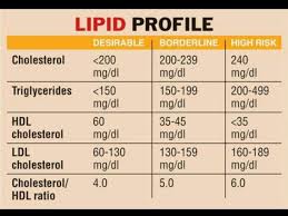 Lipid Profile Chart Triglycerides Hdl Ldl Total