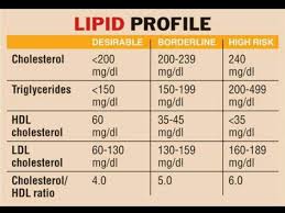 lipid profile chart triglycerides hdl ldl total