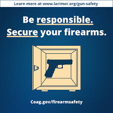 Image result for Gun Safety