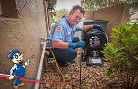 What is and Why Do I Need Rooter Service? | Art Plumbing, Air Conditioning  & Electric