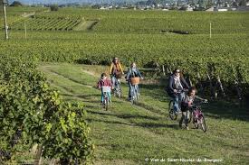 Lieu dit la jarnoterie, 37140 saint nicolas de bourgueil france. A La Decouverte Des Vins Aoc Saint Nicolas De Bourgueil Val De Loire