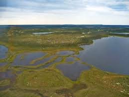 On rare occasions, certain lowlands such as the caspian depression lie below sea level. Hudson Bay Lowlands Everything You Need To Know With Photos Videos