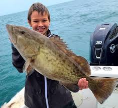 We have been fishing and cruising local waters since 1928, and 4 generations later we are still family owned and operated. Saltwater Gag Grouper Biting Offshore And Around Inshore Structures