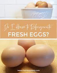 Do I Have To Refrigerate My Fresh Eggs Fresh Eggs Daily