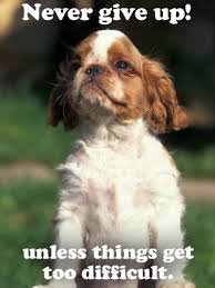 Puppy Quotes Quotesgram Puppy Quotes Puppy Pictures Puppies