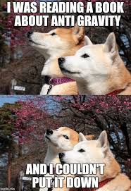 Bad Pun Dogs I Was Reading A Book About Anti Gravity And I Couldn T Put It Down Image Tagged In Bad Pun Dogs Made W Dog Jokes
