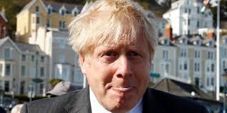 Cabinet secretary simon case is believed to have made the recommendation last year, but the prime minister rejected the advice, according to the times. Phone Number Of Britain S Johnson Online For 15 Years Reports Godaddy World