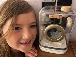 Do tarantulas leave their hammock to poop before molting? Should I rinse  fly larva before feeding?