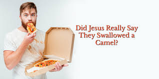 Blind guides, who strain out the gnat, but drink down the camel. Bible Love Notes Did Jesus Really Say That About Swallowing A Camel