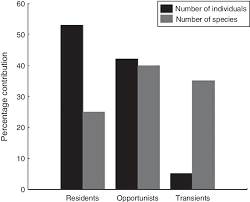 Using a situation to get…. Percentage Contribution Of Resident Opportunist And Transient Fish To Download Scientific Diagram