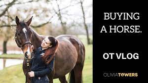 Buying A Horse | Ot Vlog - Youtube