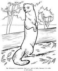 Pin On Coloring Pages