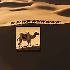 Fimi x8 se 2020 fcc hack : Dji Mavic Air 2 Fly More Combo Drone With 4k Video Camera In Ultra Hd 48 Megapixel Photos 1 2 Inch Cmos Sensor 34 Minutes Flight Time Activetrack 3 0 3 Axis Gimbal Gray Amazon De Electronics Photo