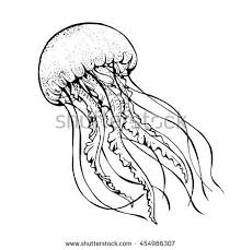 Jelly Fish Line Art Vector Illustration Water Animals Art Fish Drawings Line Art Vector