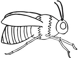 You can download free printable bee coloring pages at coloringonly.com. Printable Bee Coloring Pages Coloringme Com
