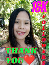 META Monetization Group