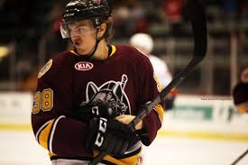 Jacob waldemar de la rose (born may 20, 1995) is a swedish professional ice hockey forward. Leksands If Collegehockeyplayers