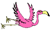 Free Animated Bird Gifs Bird Animations Clipart Eagle looking around for new prey. free animated bird gifs bird