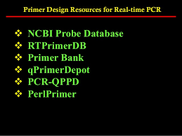 Find primer pairs for qpcr analysis of rna levels. Pcr Primer Design
