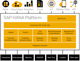 Update password in hana studio. What Is Sap Suite On Hana Soh Itpfed