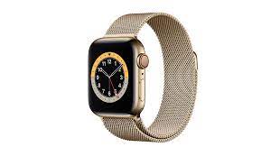 Ships from and sold by woot. Apple Watch Series 6 Gps Cellular 40mm Gold Stainless Steel Case With Gold Milanese Loop Apple Ca