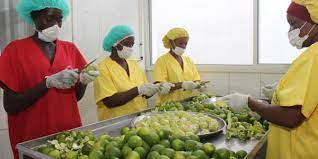 West Africa: Significant opportunities to commercialise agribusiness value chains