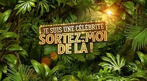 Ô, je suis un pizza avec du fromage beaucoup de sauce des tomates des oignons, des champignons épices mélangees je suis une pizza, prête à manger. Ce Soir Sur Tf1 La Finale De Je Suis Une Celebrite Sortez Moi De La Video