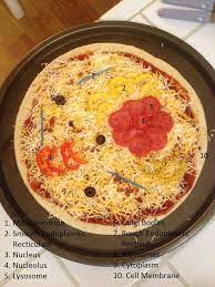Maybe you would like to learn more about one of these? Animal Cell Pizza Style Animal Cell Pizza Ingredients Plant Cell Pizza Project Edible Plant Cell Ingredients Edible Animal Cell Cell Model Edible Cell