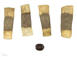 Image result for Entada stuhlmannii