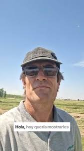 El Ing. Agrónomo @jorclement nos muestra un lote de #tifway resembrado con  #ryegrass anual 🌱, En este vídeo Jorge nos muestra lo que sucede con este  rye grass anual desde nuestro campo de producción ...