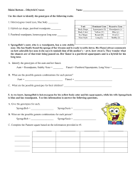 One of spongebob's cousins, spongebillybob, recently met a cute squarepants gal, spongegerdy, at a local dance and fell in love. Spongebob Genetics Dihybrid Crossing