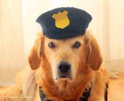 Police Dog Hat Dog Halloween Costume Police Officer Dog Outfit Police Hat For Dogs Large Dog Costume Ideas Police Dog Costume Large Dog Costumes Dog Halloween Costumes Dog Halloween