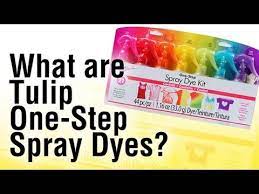 What S In The Tulip One Step Spray Dye Kit Youtube